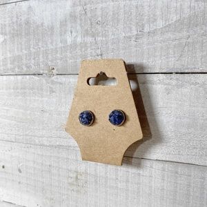 Healing Blue Sodalite Crystal Earrings